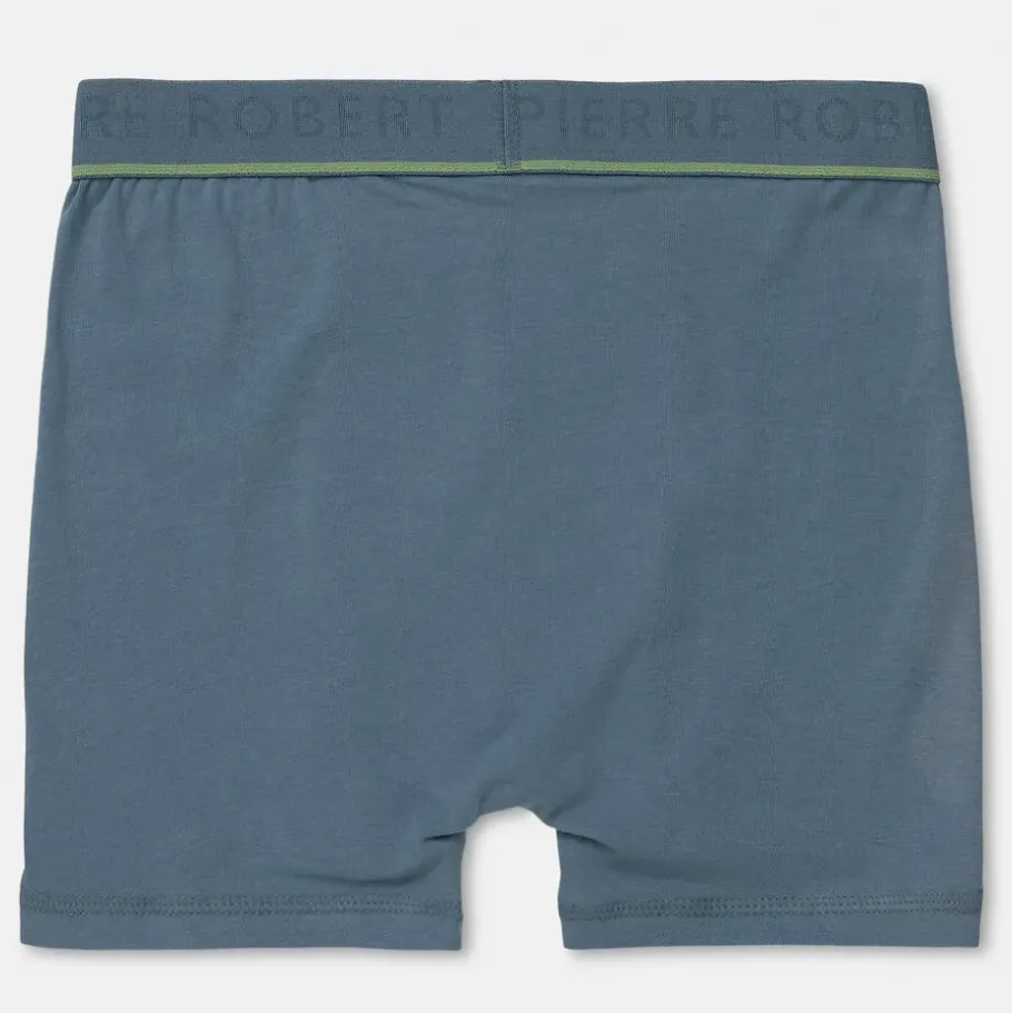 Barn Pierre Robert Kalsonger Bomull Storre Barn 2-Pack